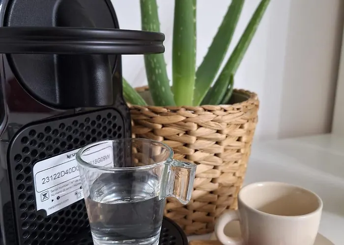 Roomssixty-five Oda ve Kahvaltı Roma